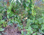 20070828074212_3566.jpg