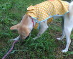 20070828073757_3569.jpg
