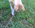 20070828073732_3571.jpg