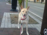 20070902153410_3608.jpg