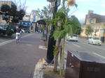 20070902153452_3607.jpg