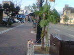 20070902153459_3606.jpg