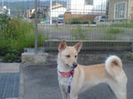 20070902155051_3605.jpg