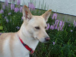 20070911080634_3691.jpg