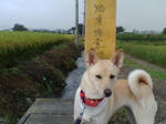 20070913075356_3709.jpg