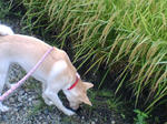 20070913075418_3708.jpg