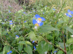 20070913075010_3710.jpg