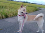 20070917162750_3765.jpg