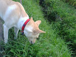 20070917162243_3767.jpg