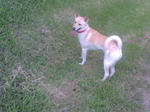20070917152439_3768.jpg