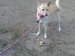 20070918080649_3783.jpg