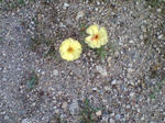 20070918080702_3782.jpg