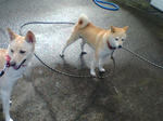 20070918081631_3781.jpg