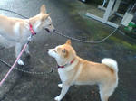 20070918081644_3780.jpg