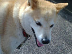 20070918081819_3779.jpg