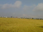 20070921074937_3806.jpg