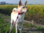 20070921074718_3807.jpg