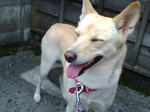 20070923120828_3819.jpg