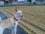 20070925074428_3888.jpg
