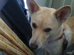 20070927072116_3921.jpg