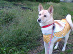 20071008172041_4051.jpg