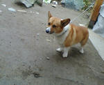20071129085320_4631.jpg
