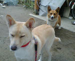 20071129085552_4629.jpg