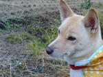 20071205075428_4673.jpg
