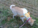 20071205075806_4669.jpg