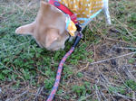 20071205075717_4671.jpg
