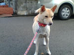 20071219074057_4739.jpg