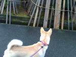 20071219074042_4740.jpg