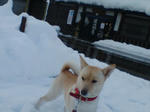 20080102081419_4869.jpg