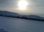 20080105082508_4898.jpg