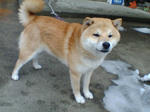 20080105090551_4895.jpg