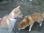 20080105090929_4893.jpg