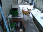 20080203165025_5054.jpg