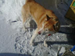 20080216082732_5140.jpg