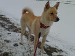 20080226075256_5244.jpg