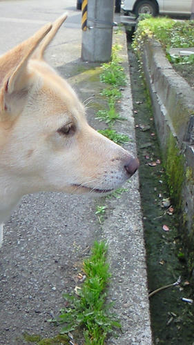 NEC_0026.JPG