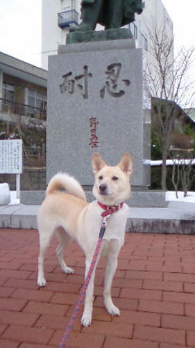 NEC_0288.JPG