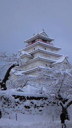 NEC_0308.JPG