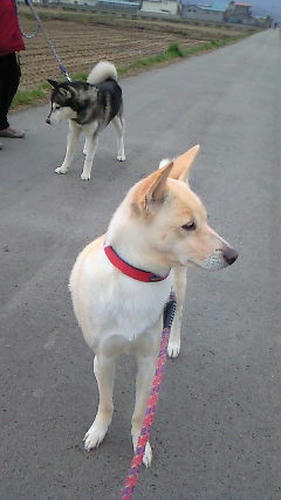 NEC_0326.JPG