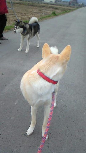 NEC_0325.JPG