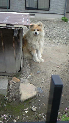 NEC_0373.JPG