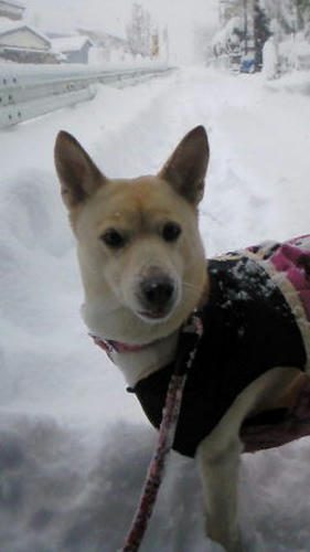 201012250900001.jpg