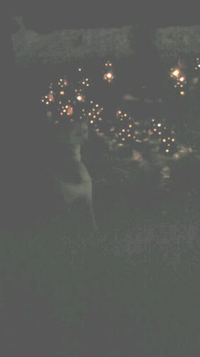 201102122021001.jpg