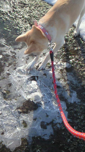 201102200819001.jpg