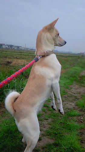 201010200745000.jpg
