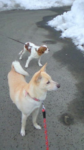 201102250754000.jpg